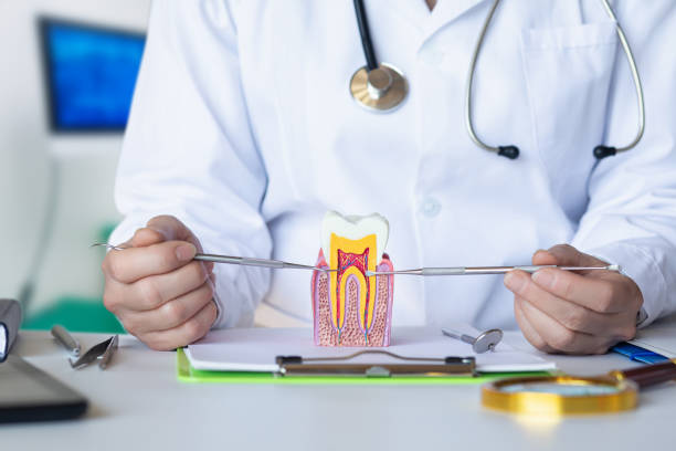 Best Mobile Emergency Dentist in Dixon, IL